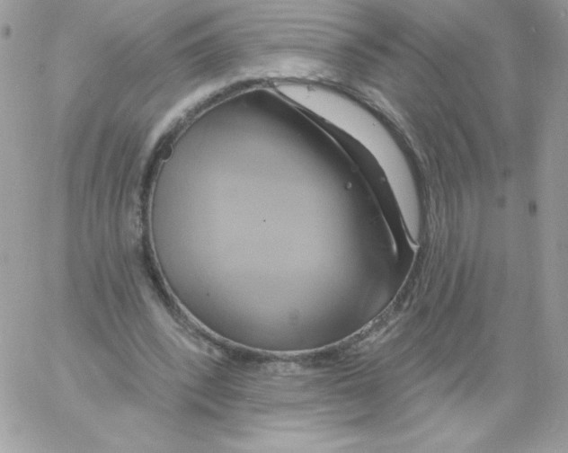 X0000061750392200512302243