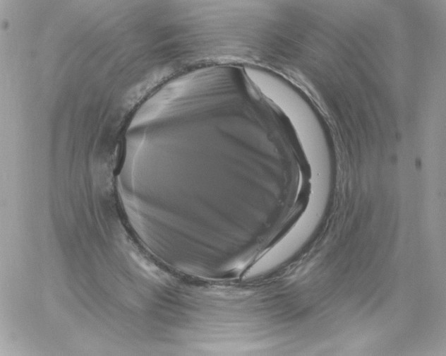 X0000061750393200512302243