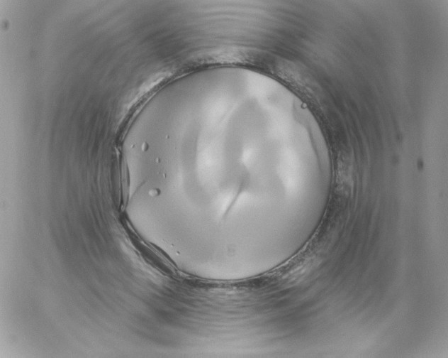 X0000061750394200512302243