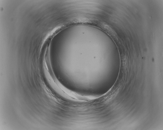 X0000061750395200512302243