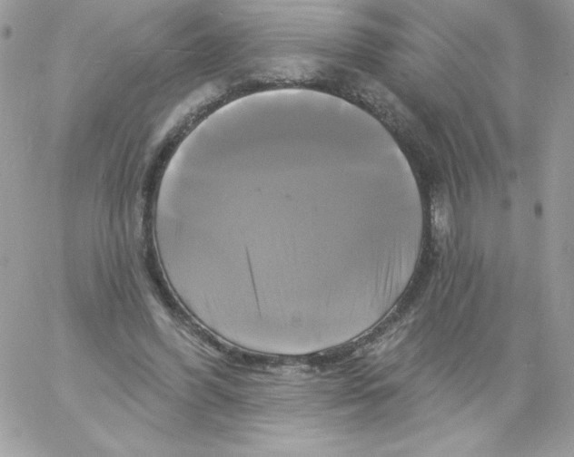 X0000061750396200512302243