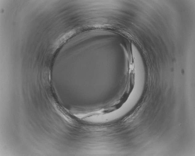 X0000061750397200512302243