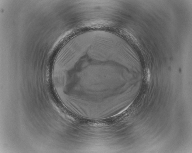 X0000061750400200512302243