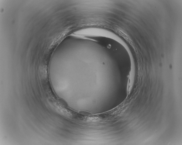 X0000061750401200512302243