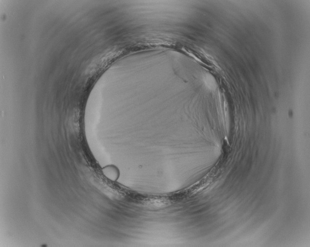 X0000061750402200512302243