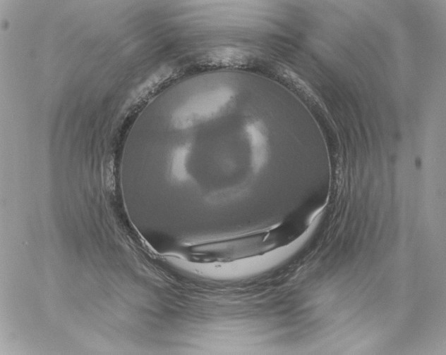 X0000061750403200512302243