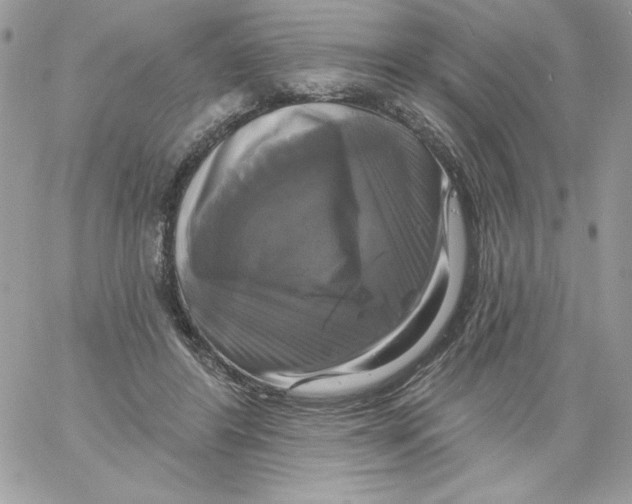 X0000061750404200512302243