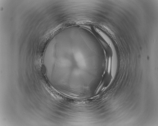 X0000061750405200512302243