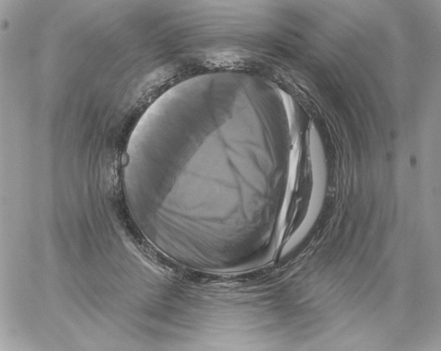 X0000061750408200512302243