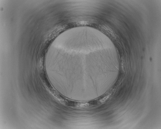 X0000061750410200512302243