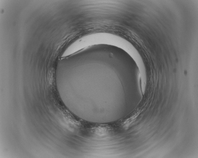 X0000061750412200512302243