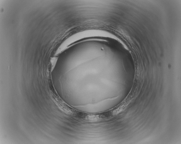 X0000061750413200512302243