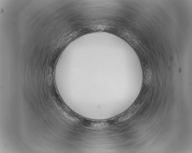 X0000061750414200512302243