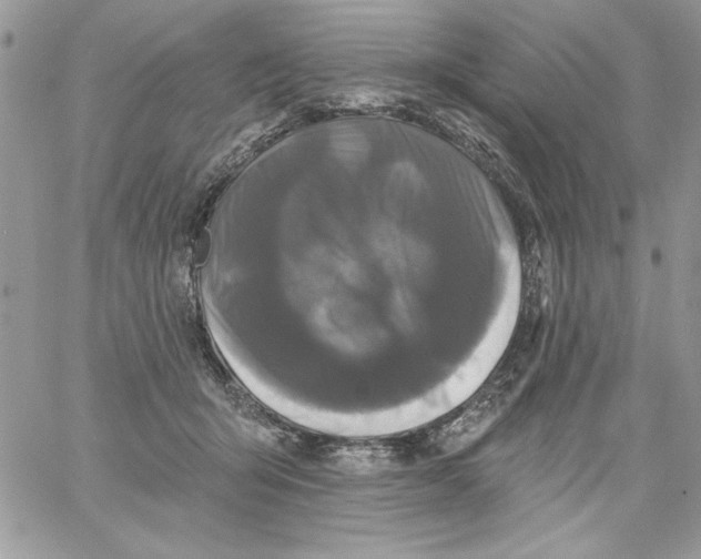 X0000061750415200512302243