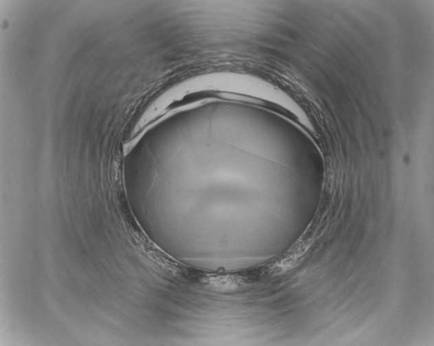 X0000061750417200512302243