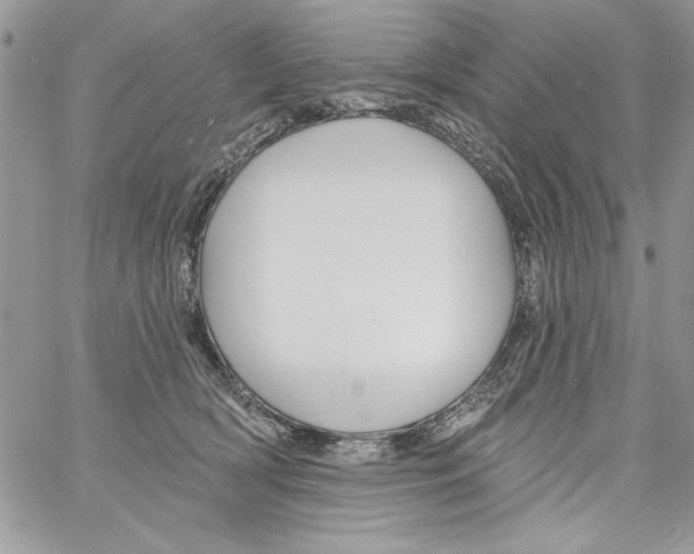 X0000061750418200512302243