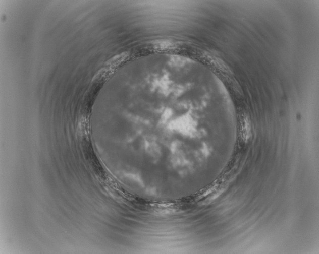 X0000061750419200512302243