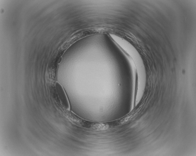 X0000061750421200512302243