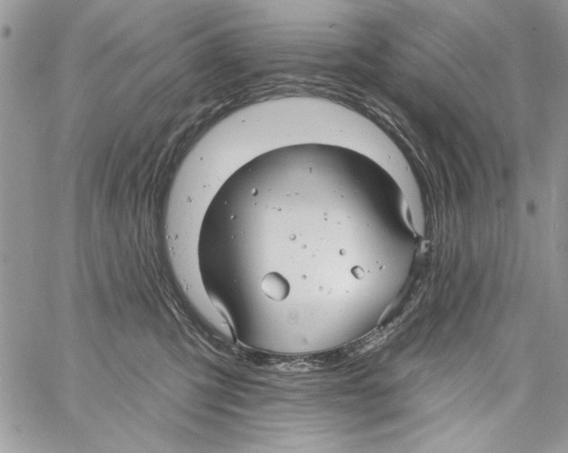 X0000061750423200512302242