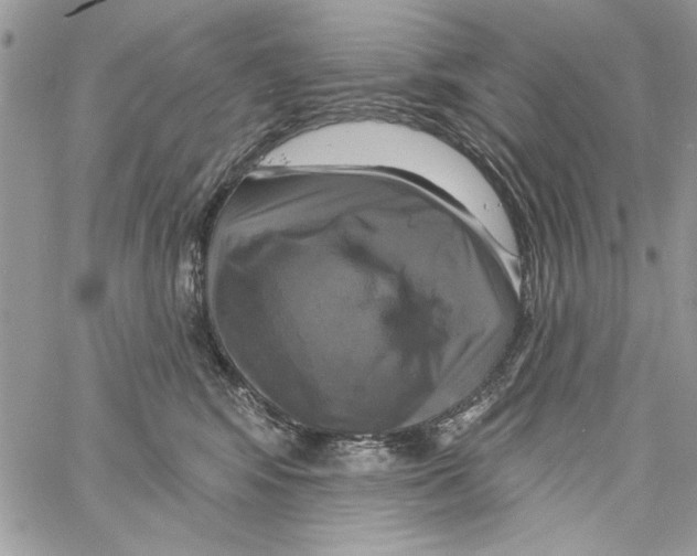 X0000061750424200512302242