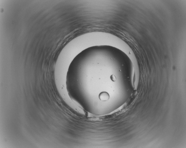 X0000061750425200512302242