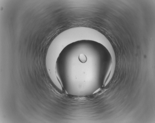 X0000061750428200512302242