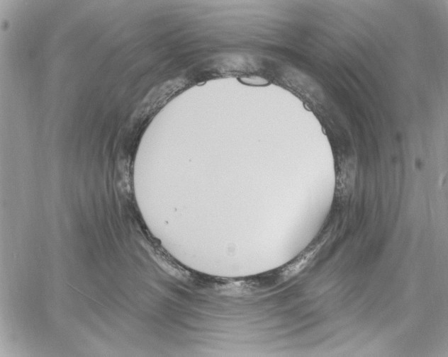 X0000061750430200512302242