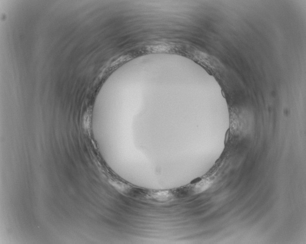 X0000061750431200512302242