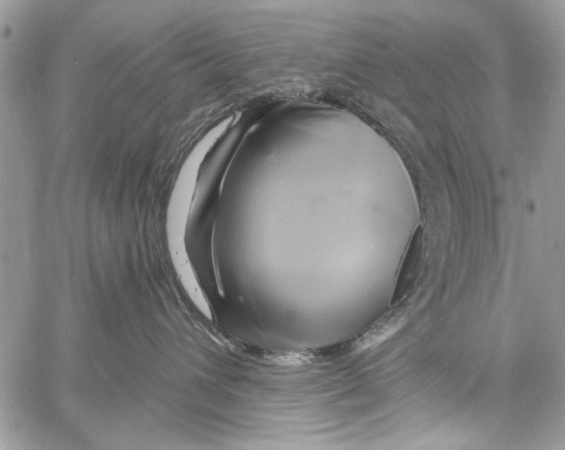 X0000061750432200512302242