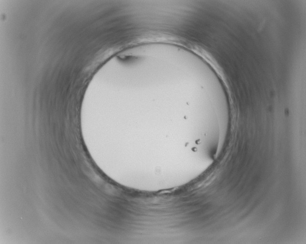 X0000061750433200512302242