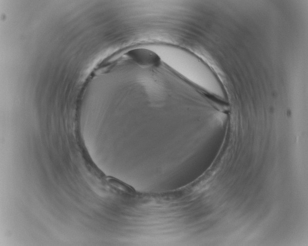 X0000061750434200512302242