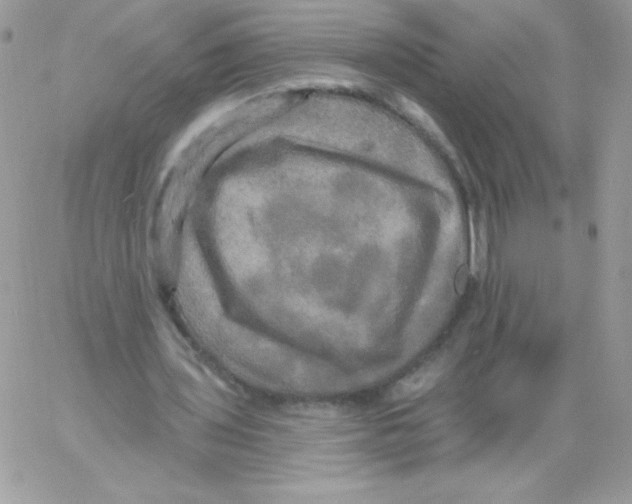 X0000061750435200512302242