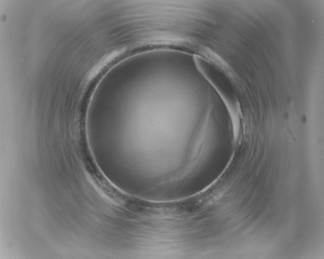 X0000061750436200512302242