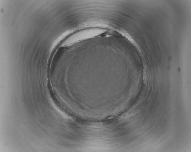 X0000061750438200512302242