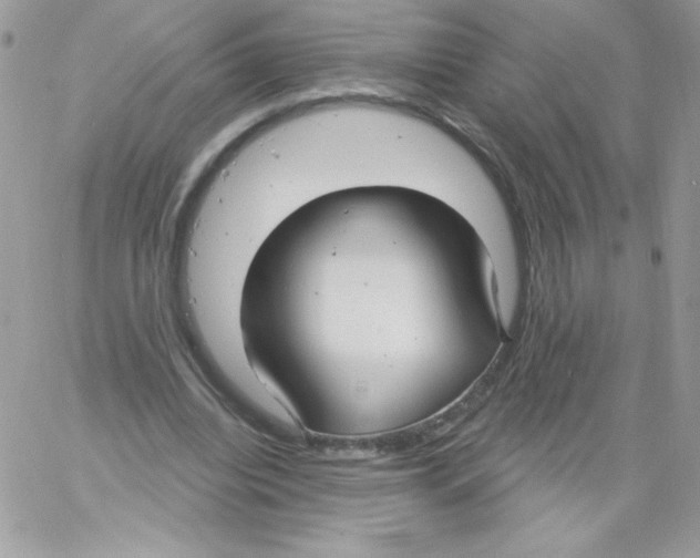 X0000061750440200512302242