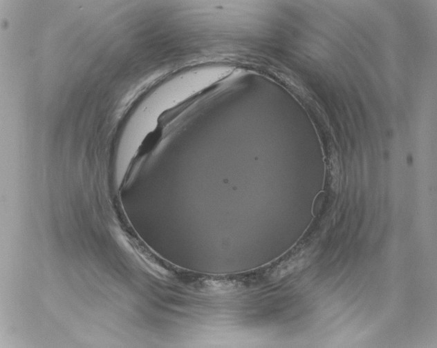 X0000061750442200512302242