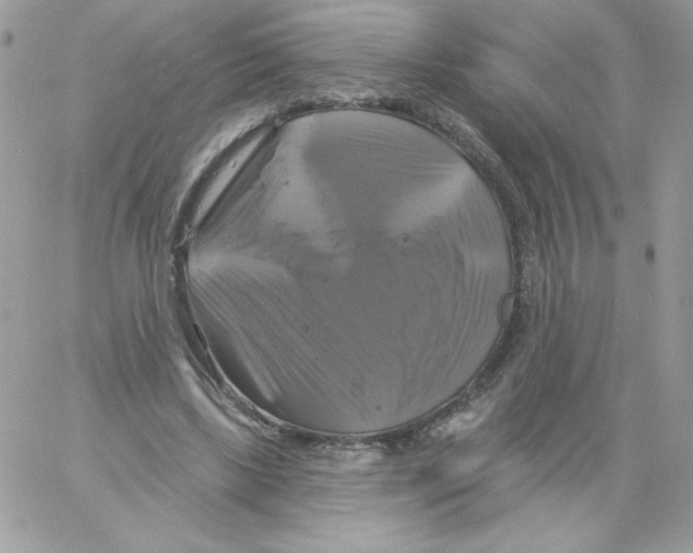 X0000061750443200512302242