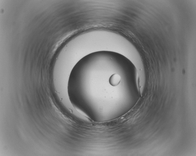 X0000061750444200512302242