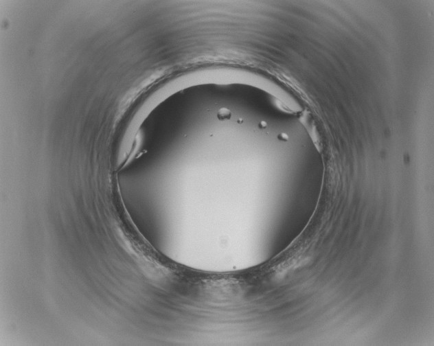 X0000061750446200512302242