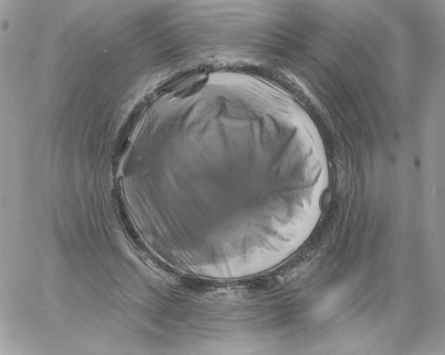 X0000061750447200512302242