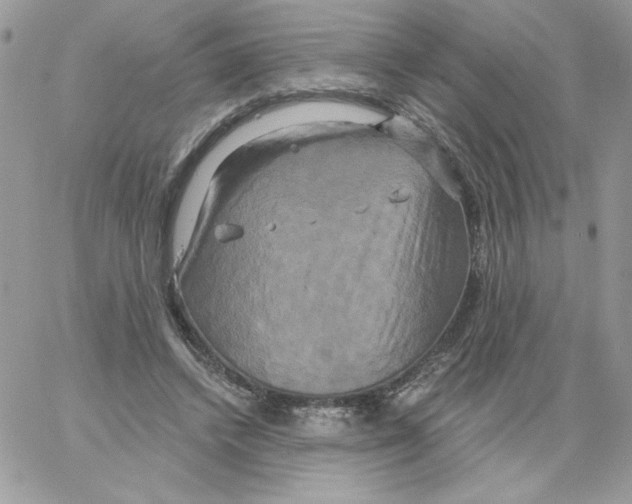 X0000061750448200512302242