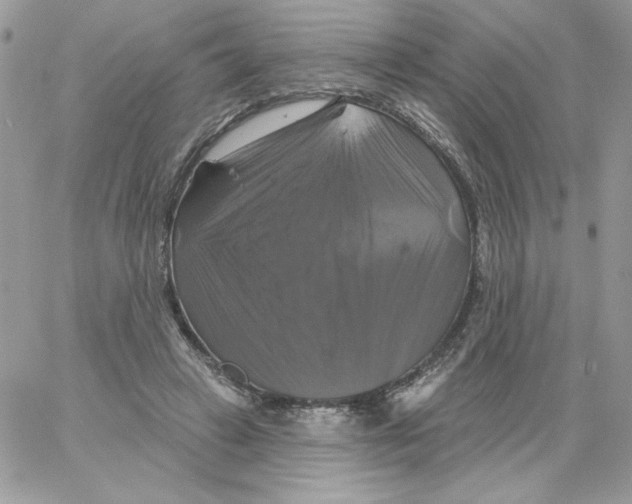 X0000061750449200512302242