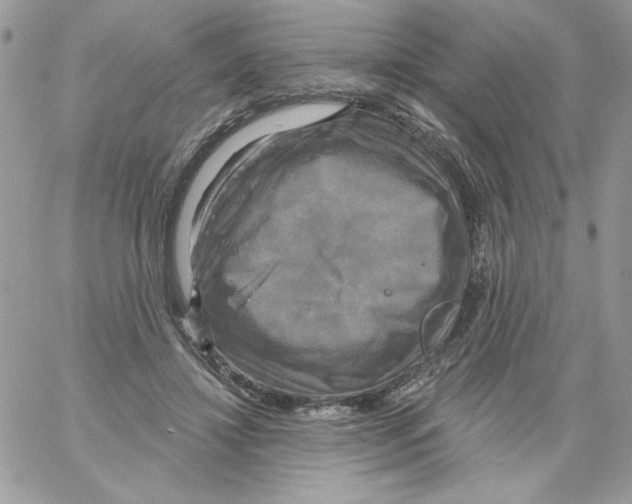 X0000061750452200512302242