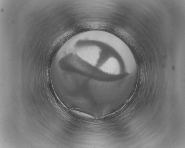 X0000061750453200512302242