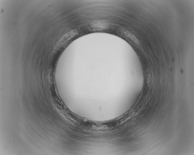 X0000061750455200512302242