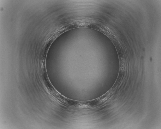 X0000061750456200512302242