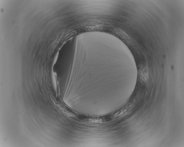 X0000061750458200512302242