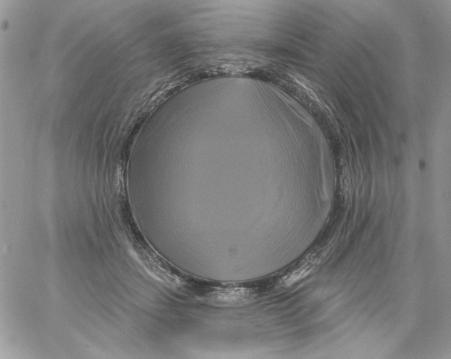 X0000061750459200512302242