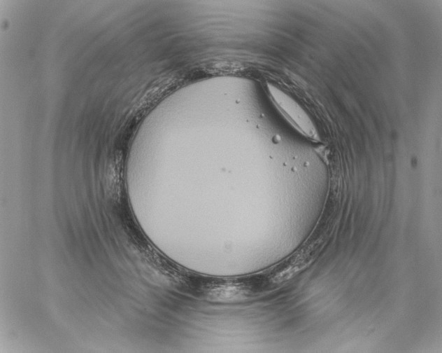 X0000061750460200512302242