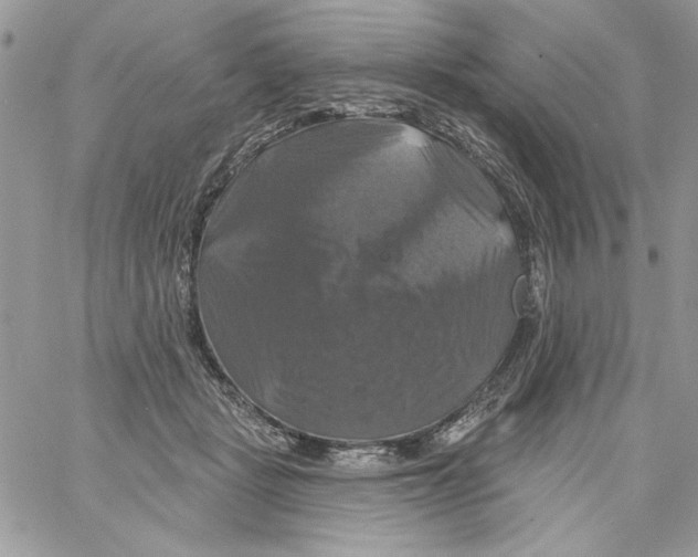 X0000061750461200512302242